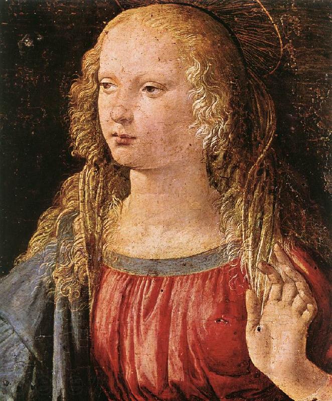 LEONARDO da Vinci Annunciation (detail) dfe Spain oil painting art